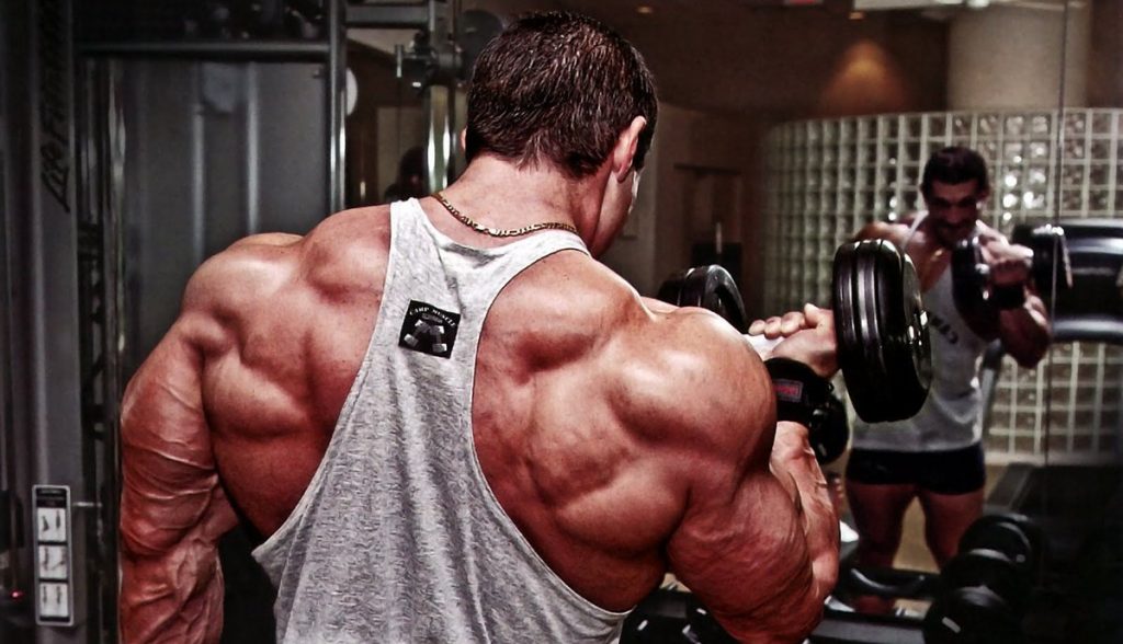 La guida definitiva alla steroidi per definizione muscolare